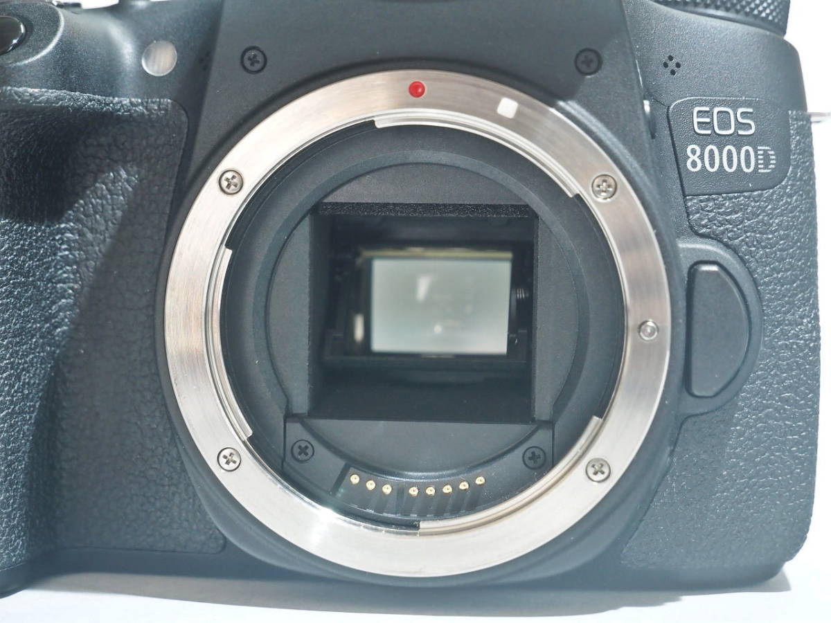 キャノン EOS 8000D ブラックボディー | normanhubbard.com