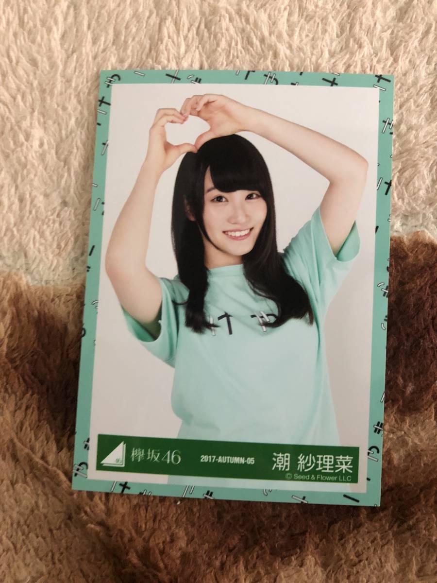 日向坂46 潮紗理菜 サイン Tシャツ carolineduffydesigns.com