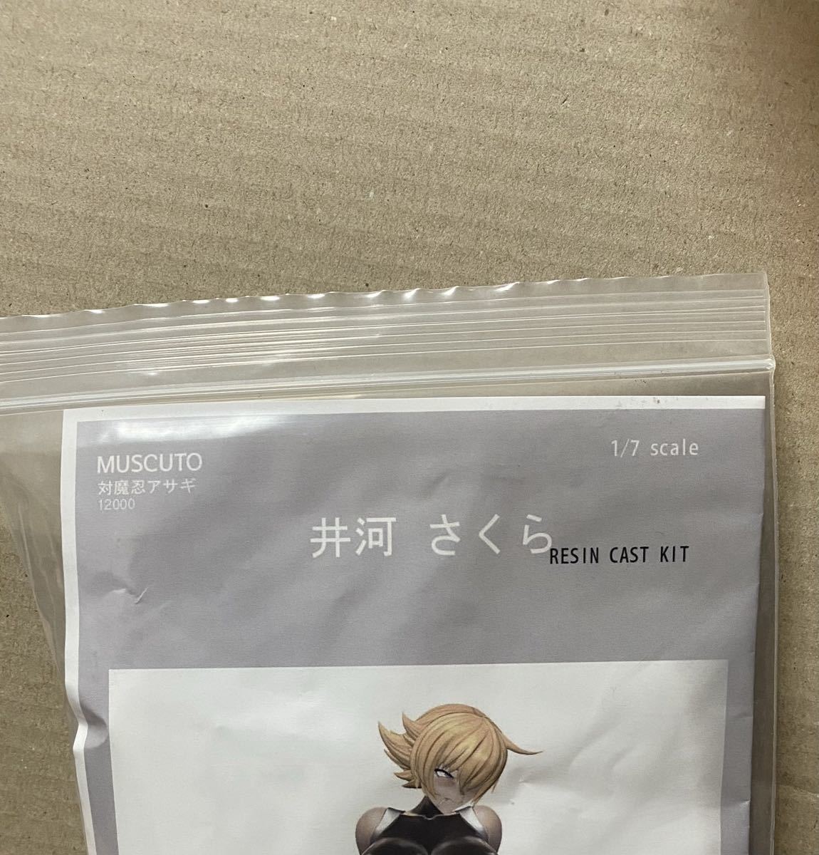 井河さくら muscuto 対魔忍アサギ ガレージキット レジンキット