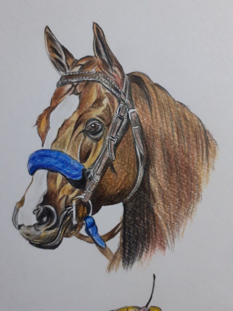 Amazon | リアル色鉛筆画 原画 No.45 サイレンススズカ 宝塚記念 Amazon | リアル色鉛筆画 原画 No.45 サイレンススズカ 宝塚記念