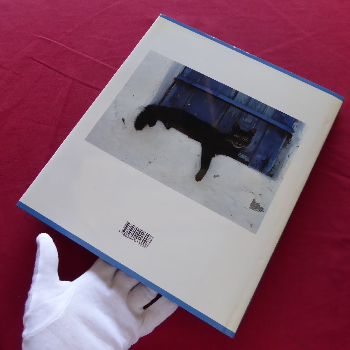 u2/ foreign book photoalbum [ Greece various island. cat ..:Cats of the Greek Islands/1993 year *Thames and Hudson]../ black cat 