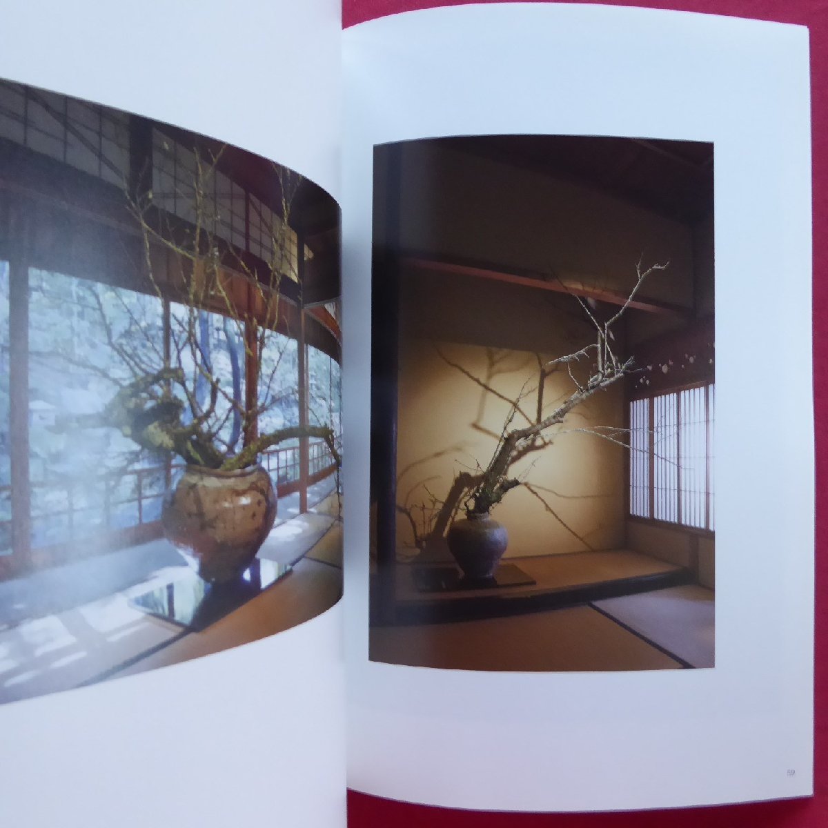 z12図録【平田豊美:画・河村敦子:花/古川美術館分館爲三郎記念館「花人・河村敦子 妹に捧ぐ命の花」より/2018年】_画像9