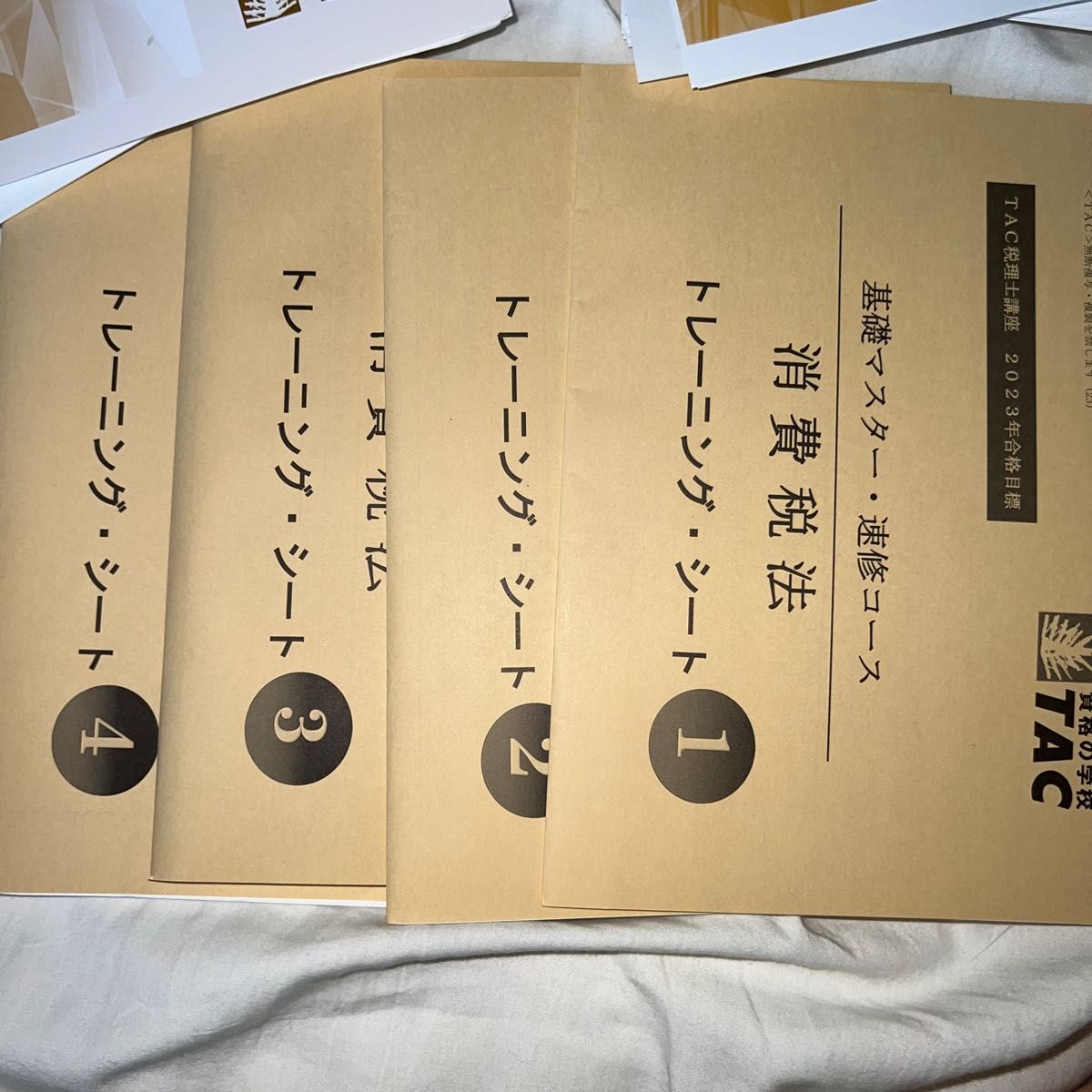 TAC 2024年合格目標 消費税法 基礎マスター教材 (2023年内配布分)- TAC 2024年合格目標 消費税法 基礎マスター教材 (2023年内配布分)-