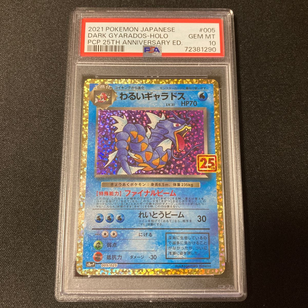 わるいギャラドス 25th PSA10 ポケモンカード プロモ 005/025|Yahoo