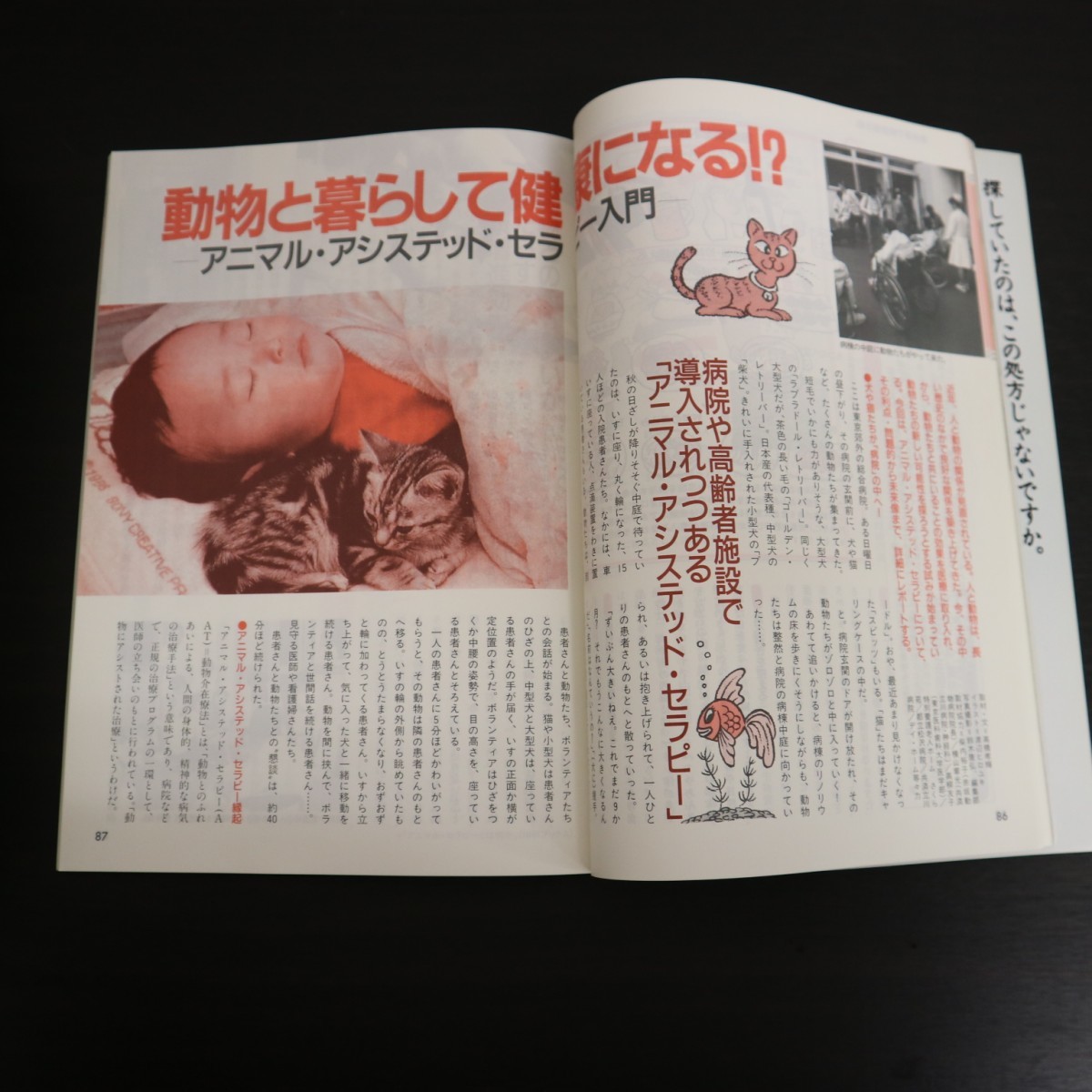 特2 51539 / NHKテキスト きょうの健康 1996年12月号 アトピー性皮膚炎 ステロイドとのつき合い方 脳梗塞 食事で検査値改善 ストレス_画像4