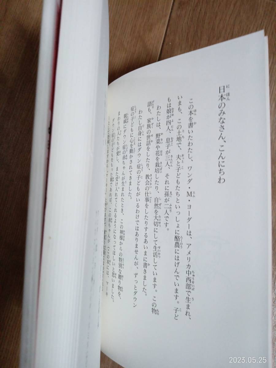 マーキー―ダウン症の少年とハモンド家のいとこたち　ワンダ・Ｍ・ヨーダー（作）池田 智（訳）三省堂　[n11] _画像2