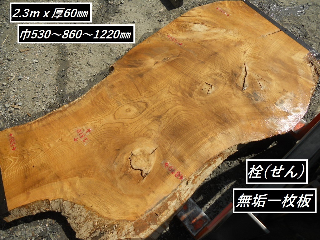 栓 セン 長231cmX巾63～125cmX6.7cm 変形 天然 無垢一枚板 巨木 幅広 座卓 テーブル 天板素材 乾燥材 アッシュ似 タモ代用_画像1