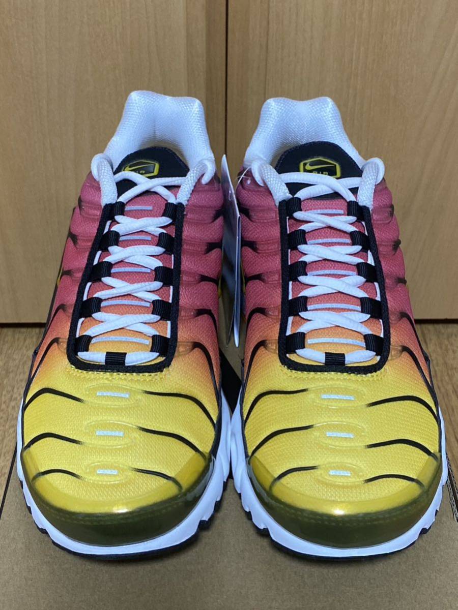 新品 国内正規品 NIKE AIR MAX PLUS OG Gradient DX0755-600 US6 新品 国内正規品 NIKE AIR MAX PLUS OG Gradient DX0755-600 US6