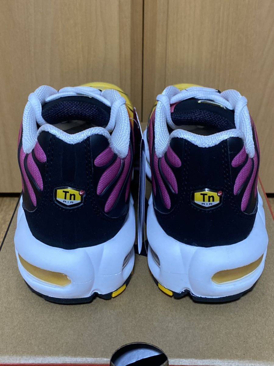 新品 国内正規品 NIKE AIR MAX PLUS OG Gradient DX0755-600 US6 新品 国内正規品 NIKE AIR MAX PLUS OG Gradient DX0755-600 US6