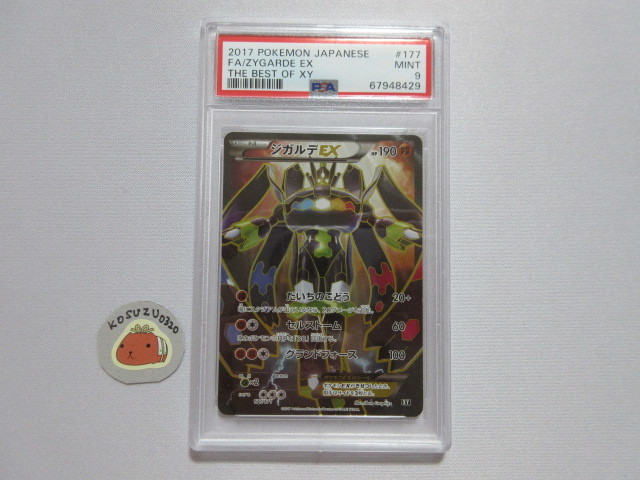 【PSA9 MINT】 ポケモンカード　ジガルデEX　SR　XY　177/171　鑑定済_画像1