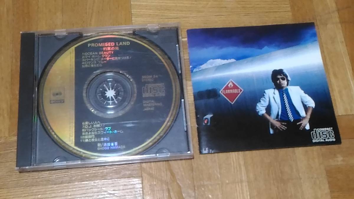 浜田省吾 PROMISED LAND ～約束の地 35DH 24 ゴールドCD_画像1