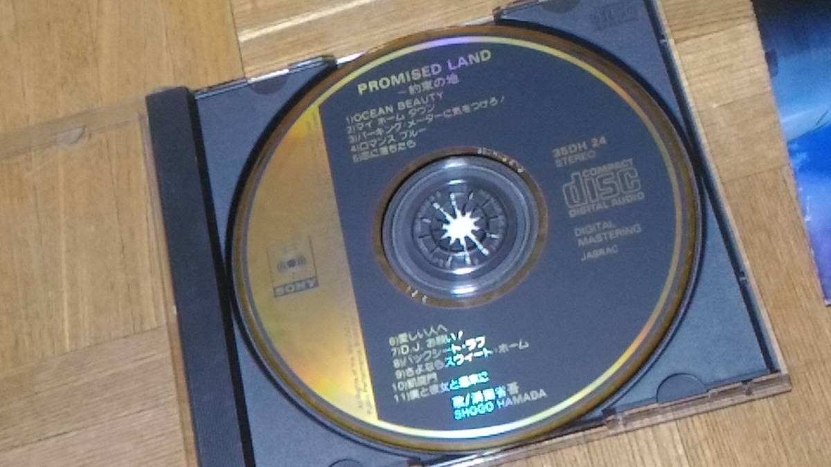 浜田省吾 PROMISED LAND ～約束の地 35DH 24 ゴールドCD_画像4