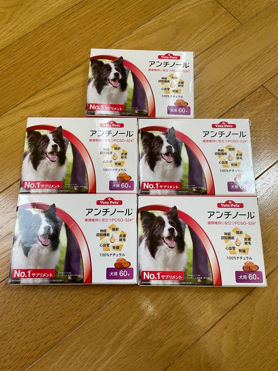 犬用 アンチノール60カプセル新品5箱 | www.unimerfertilizzanti.it