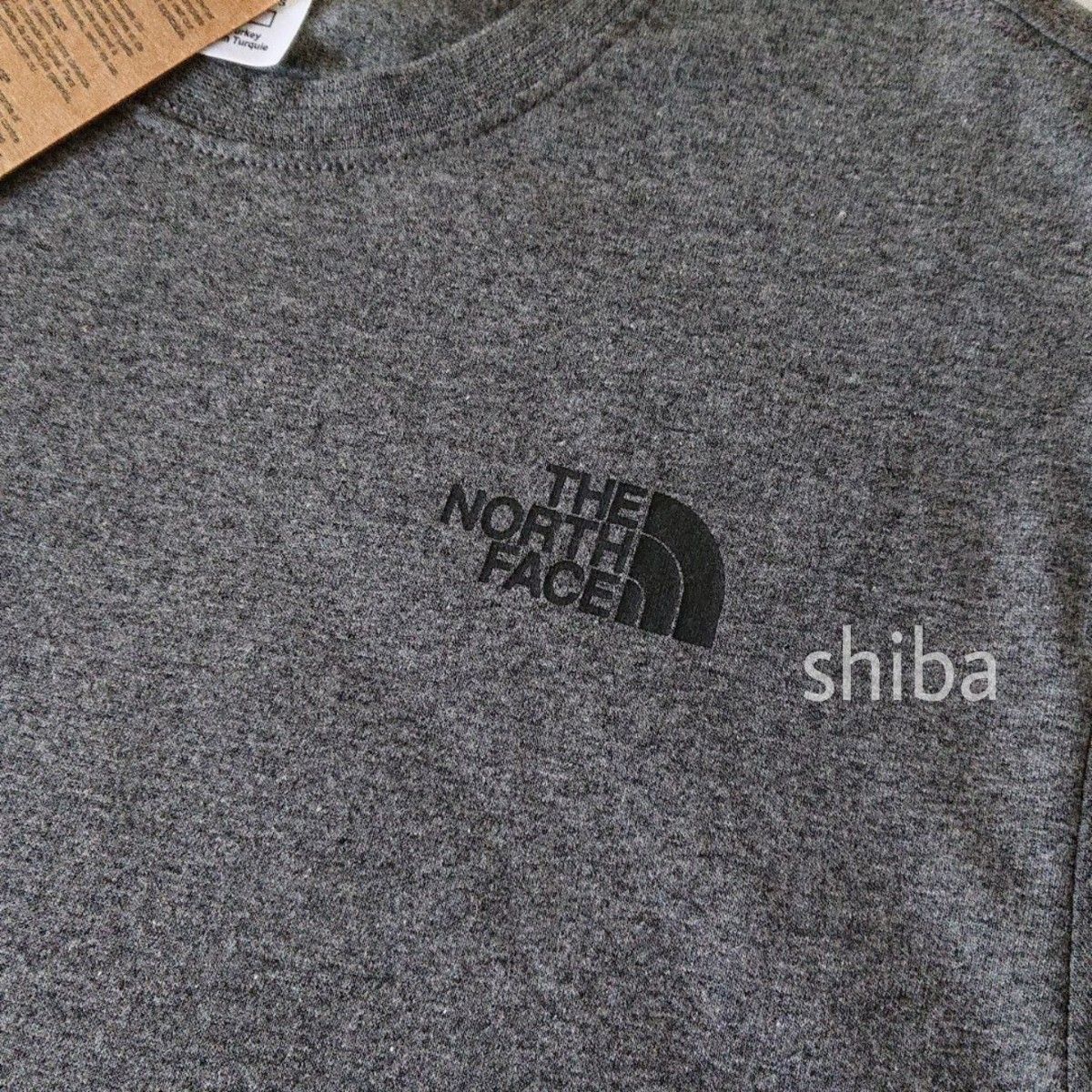 THE NORTH FACE ノースフェイス レッドボックス tシャツ 半袖 グレー 灰色 黒 ブラック ボックスロゴ 海外S