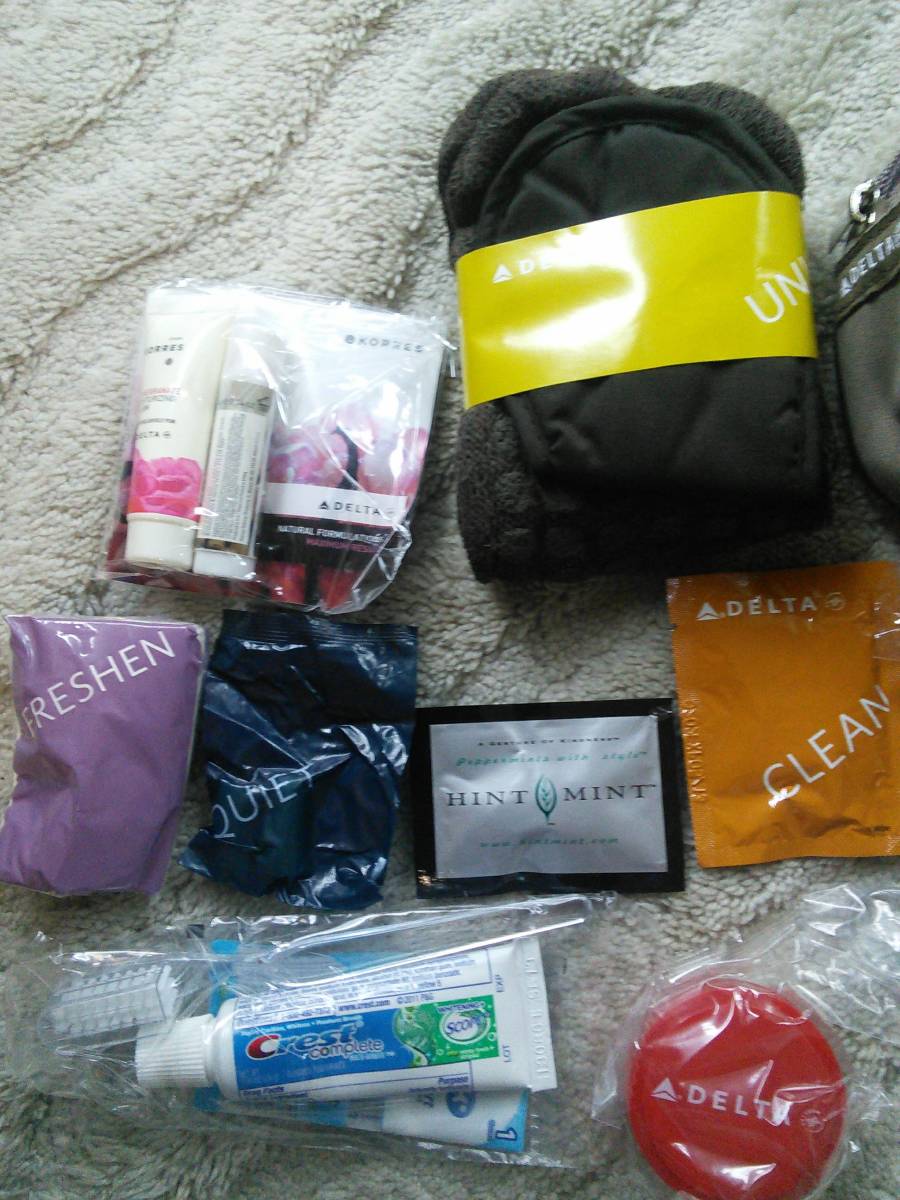  unused sack go in 2012 year. thing *DELTA Delta Air Lines * business Class * amenity - set * pouch. size 19*10*5.* postage all country 510 jpy. 