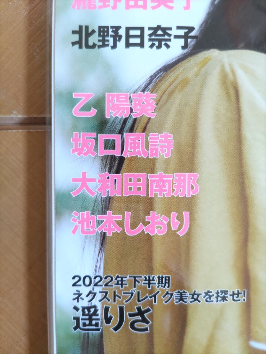 FLASHスペシャル 2022年(セブンネット限定特典付 ポストカード)・井上和(乃木坂46) 特別付録 特製クリアファイル・菅原咲月・五百城茉央 他