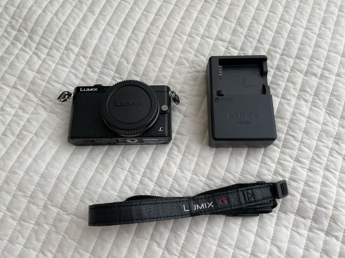 Panasonic lumix DMC-GM1 ブラックボディ 美品 | orizontfoto.ro