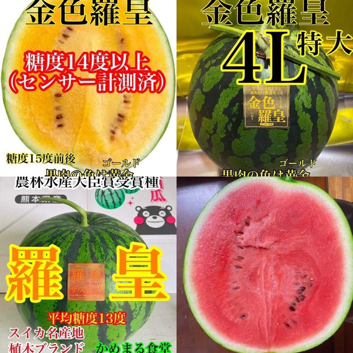 蔵 大玉スイカの最高傑作4Lサイズ2玉セット 19〜21kg箱込 agapeeurope.org