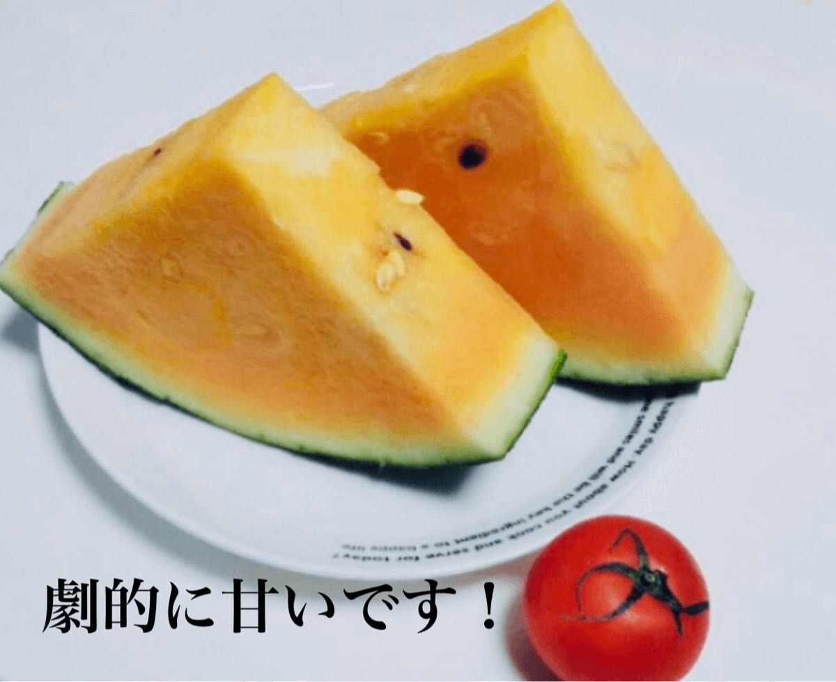 SALE/60%OFF】味を厳選!2玉セット!特4L19〜21kg箱込y 果物
