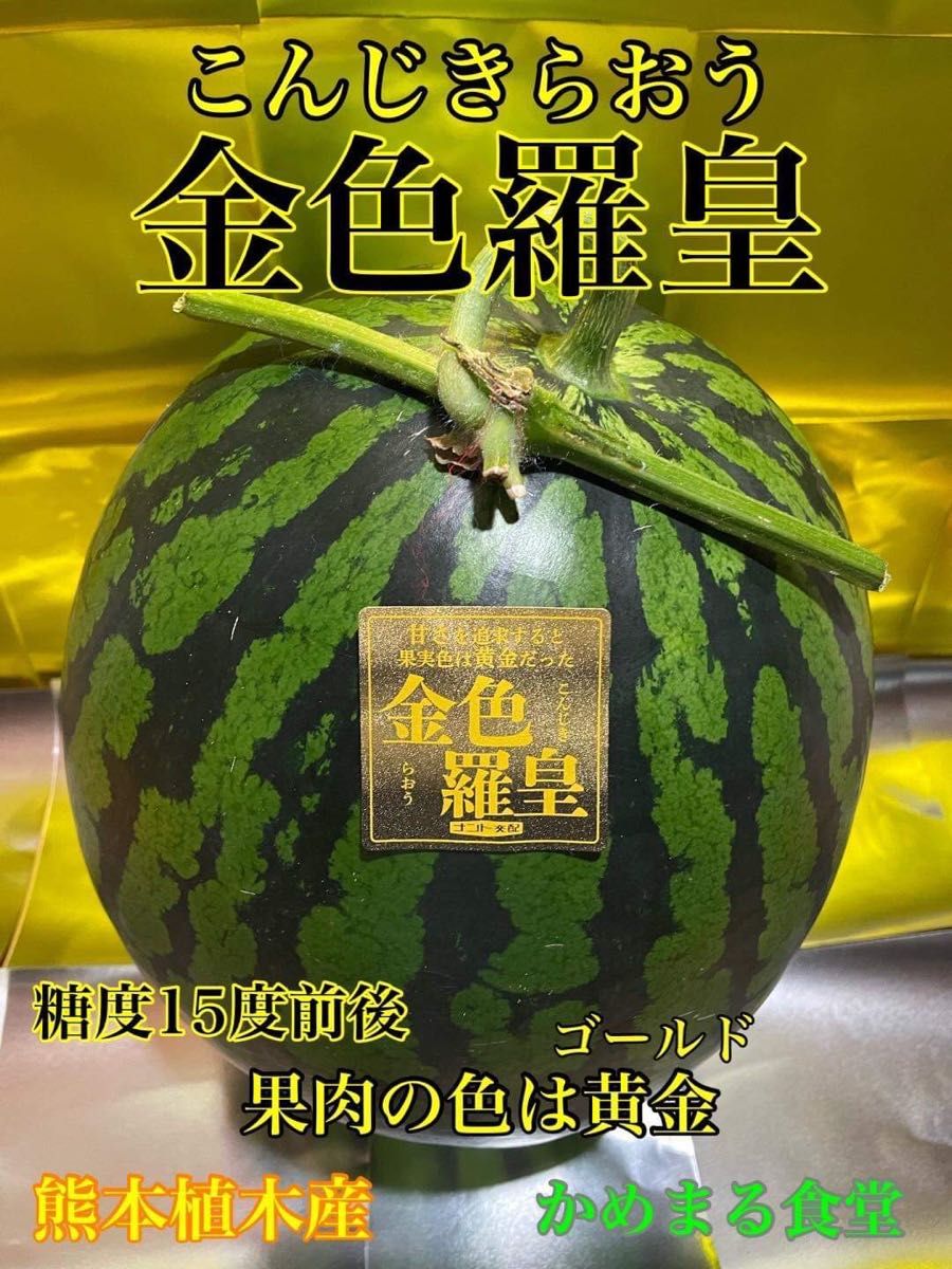 【特大】大玉スイカの最高傑作【金色羅皇】6L 2玉セット(23〜25kg箱込)y