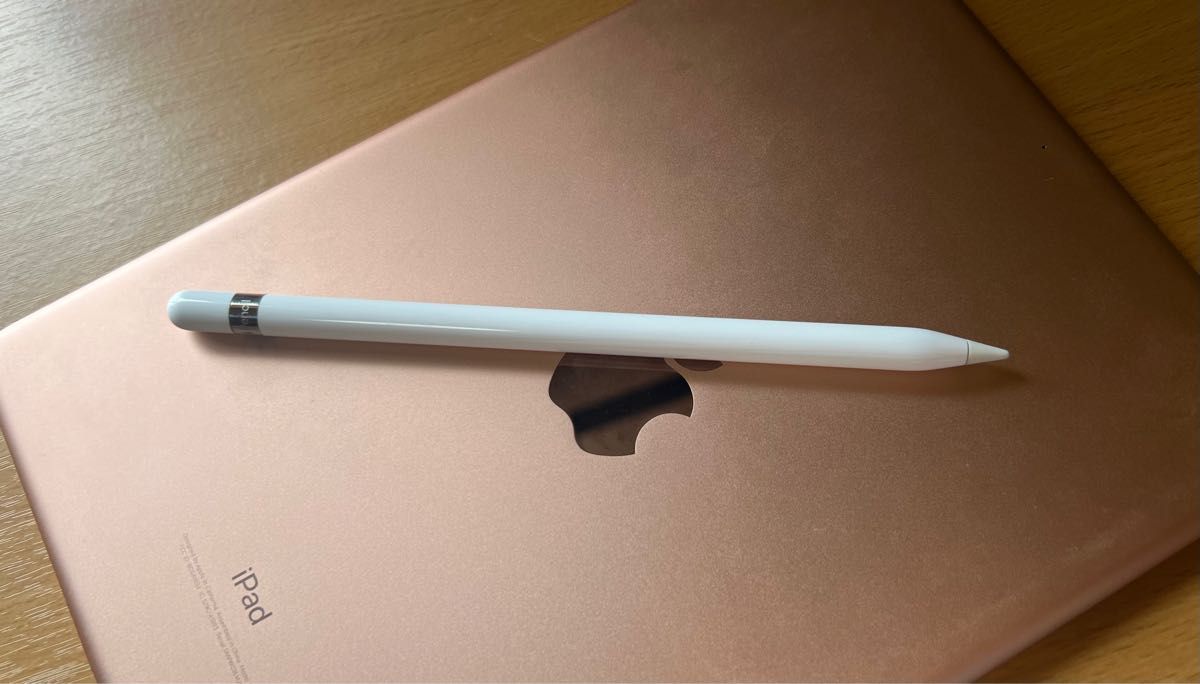 Apple pencil 第1世代 モデル MK0C2J A A1603 - その他