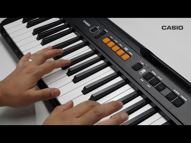 ct-s100 casioの人気商品・通販・価格比較 - 価格.com