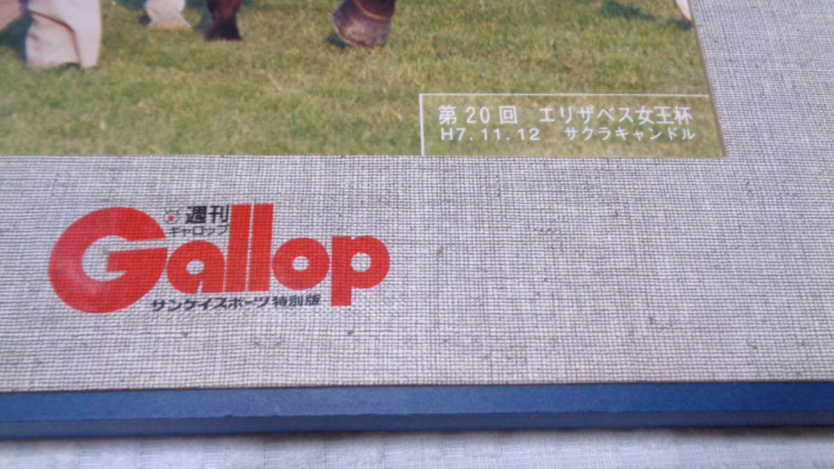 * retro *JRA* rare article [ weekly Gallop Heisei era 8 year small island futoshi .. type . pre photograph panel not for sale 48×34cm sun Kei sport ] that time thing present condition delivery 
