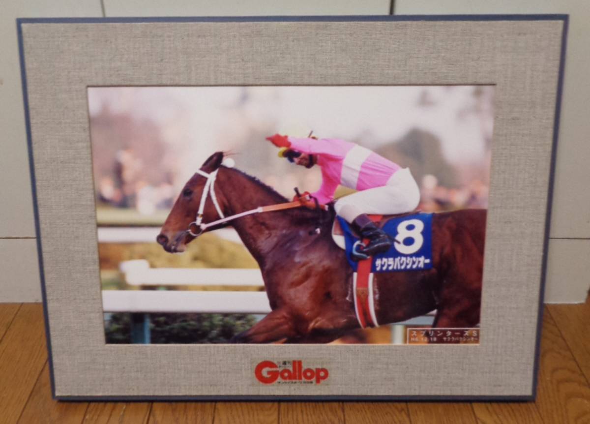 ★レトロ☆JRA★珍品「週刊Gallop 平成6年 スプリンターズS サクラバクシンオー 抽プレ 写真パネル 非売品 48×34cm ギャロップ」現状渡しの画像1