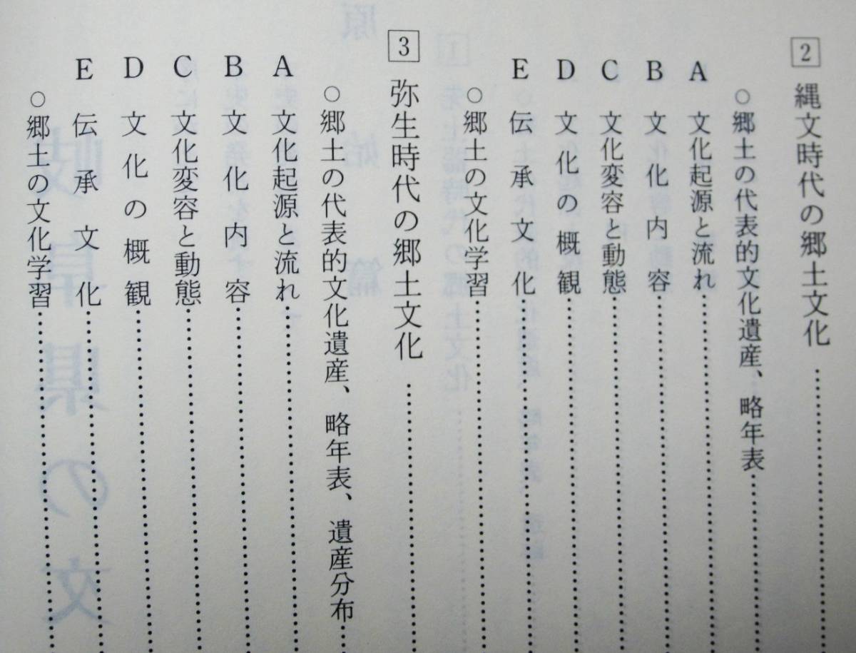 岐阜県文化史■田中淑紀■大衆書房/昭和62年/初版■帯付_画像3