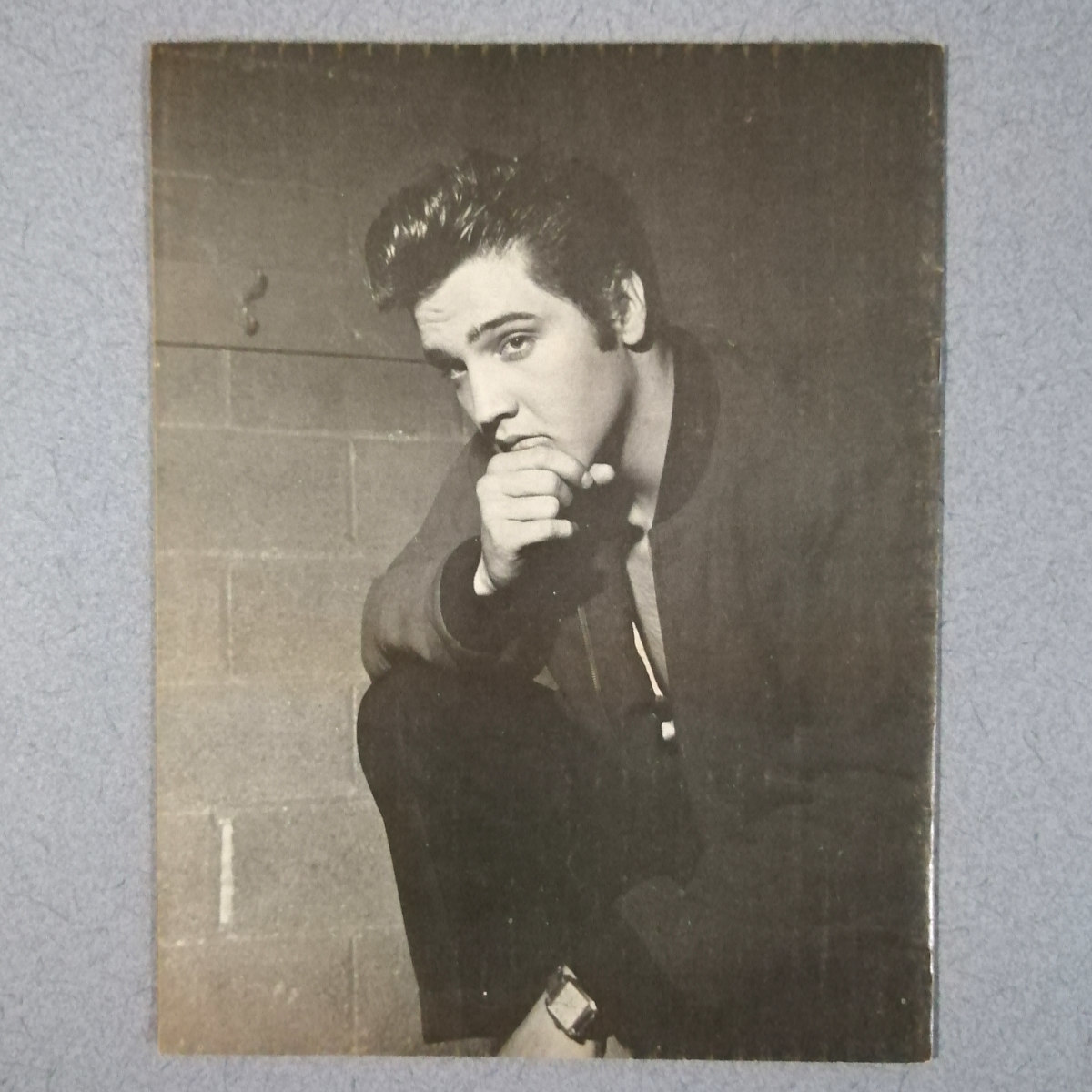 エルヴィス・プレスリー Elvis in Canada 冊子 写真集 パンフレット_画像2