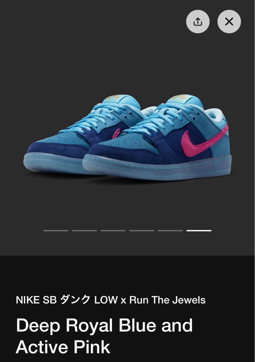ナイキ Run The Jewels Nike SB Dunk Low ラン ザ ジュエルズ ナイキ