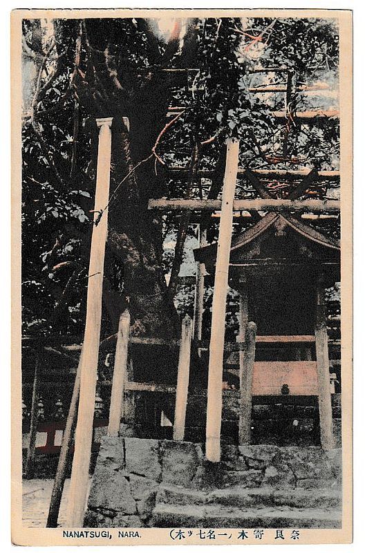 【古いカラー絵はがき】奈良 春日社 褸門／７枚　奇麗に彩色されています。 _画像9
