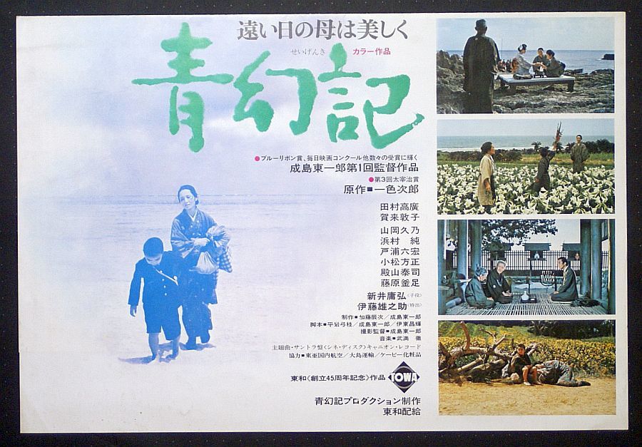 【プレス】青幻記 遠い日の母は美しく(1973)／原作 一色次郎、監督 成島東一郎／田村高広、賀来敦子／極美品_画像2