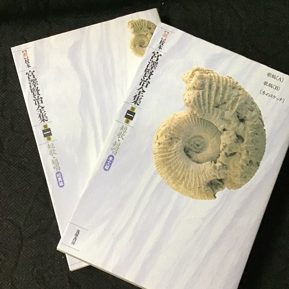新校本宮澤賢治全集』 全19巻セットのうち16巻(全巻2分冊 32冊
