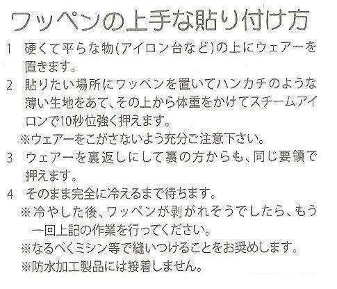 ～小物～ 2005-2006 ブンデスリーガ優勝 ワッペン 1枚 (バイエルン・ミュンヘン用)_画像3