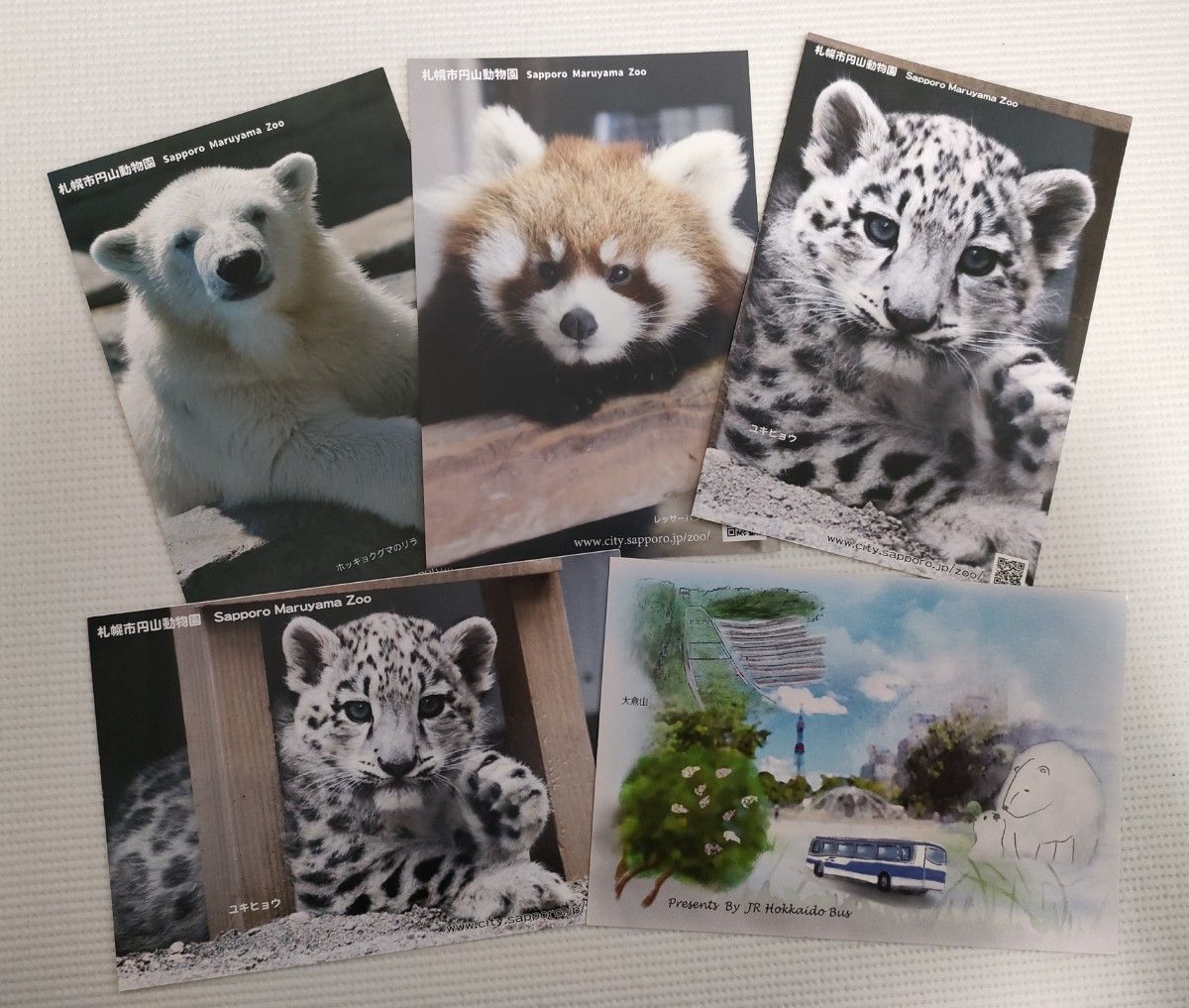 札幌市 観光 ポストカードセット 絵はがき 円山動物園 等 12枚セット 北海道