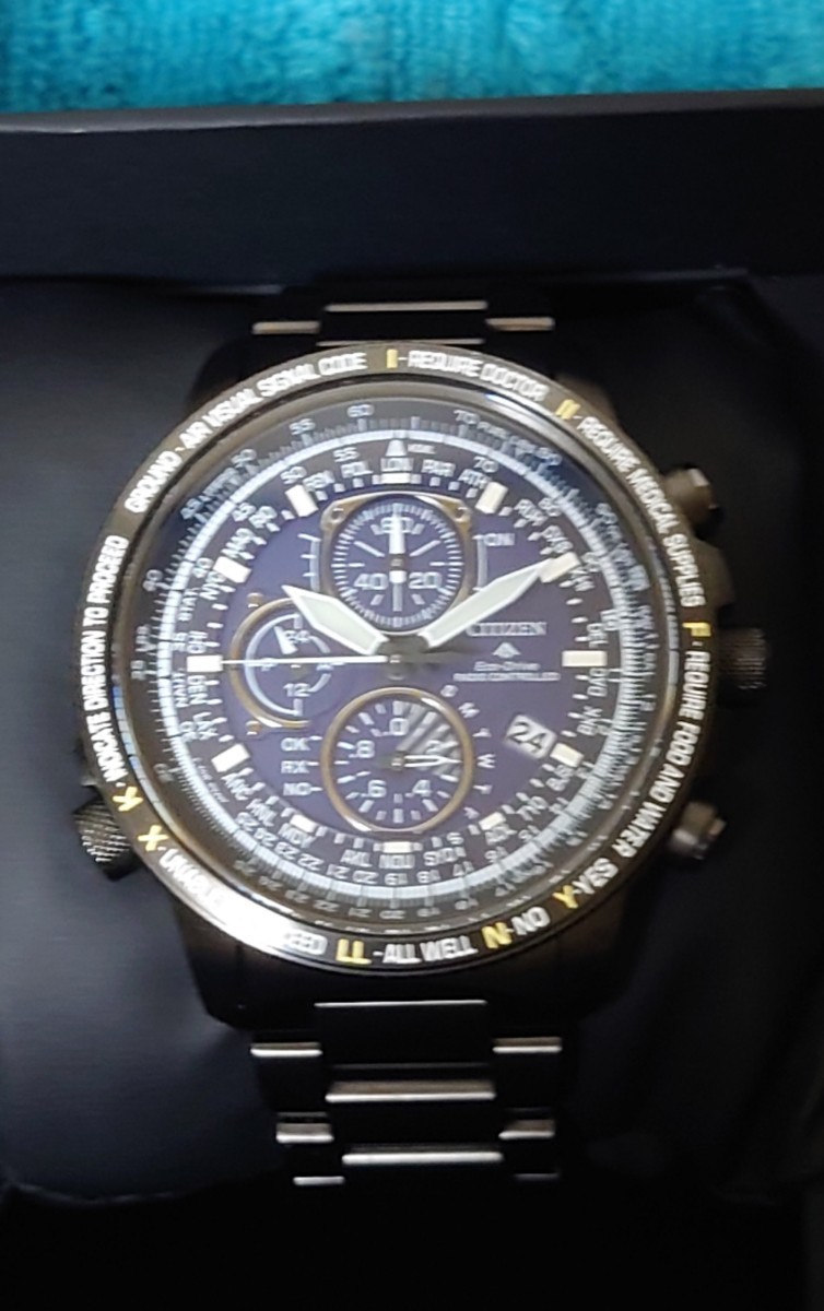 シチズン プロマスタースカイ AT8195-85L | www.mclegal.info