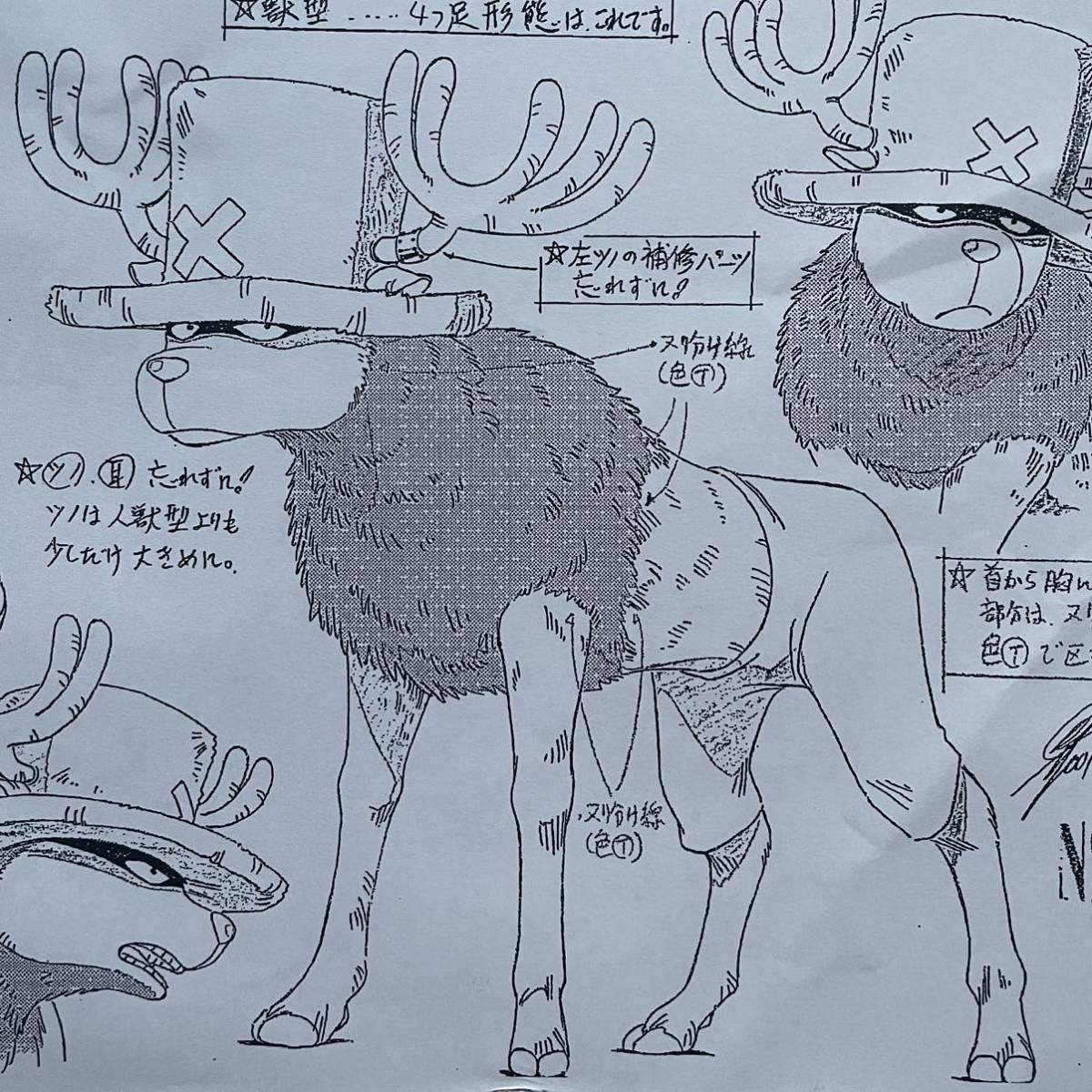決定稿 1枚 設定資料 トニートニー・チョッパー 獣型 Tony Tony 決定稿 1枚 設定資料 トニートニー・チョッパー 獣型 Tony Tony