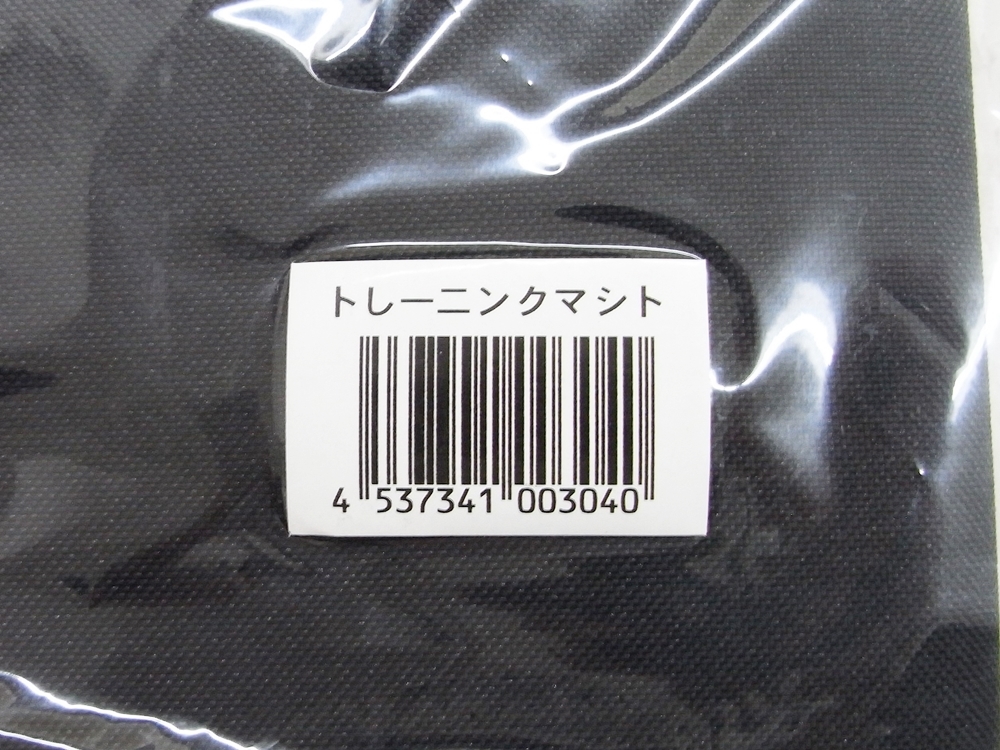 A23-1434【未使用】Lateral Thigh TRAINER ラテラルサイトレーナー LTT ステッパー 足踏み健康器具 トレーニングマット,パワーコード付の画像8