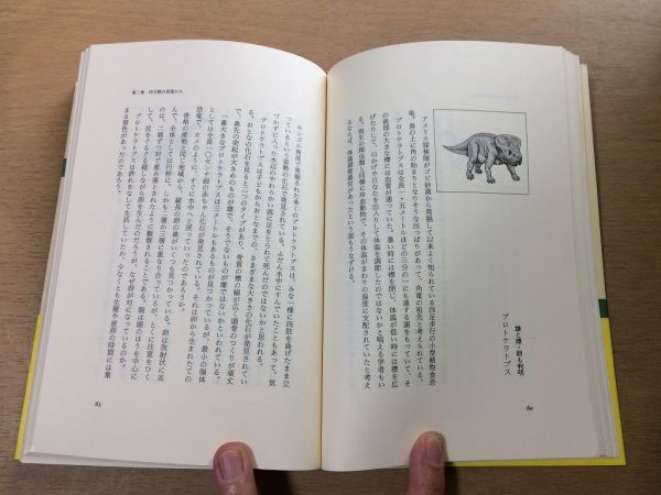 ●P064●恐竜の足跡●小畠郁生●発掘史研究史生態行動化石古生物学骨首長竜プロテオサウルスティラノサウルストリケラトプス絶滅●即決_画像9