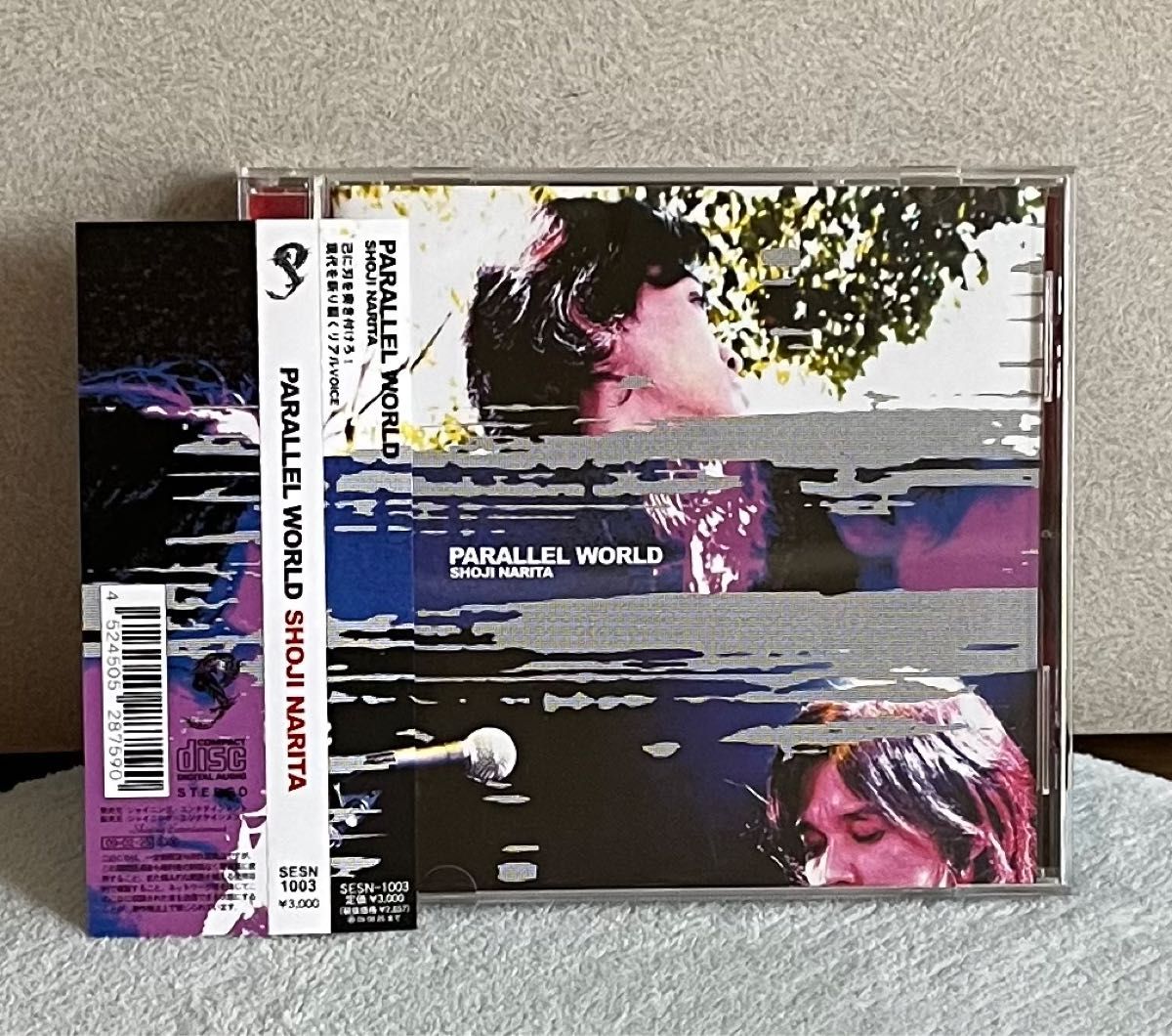 成田昭次 PARALLEL WORLD