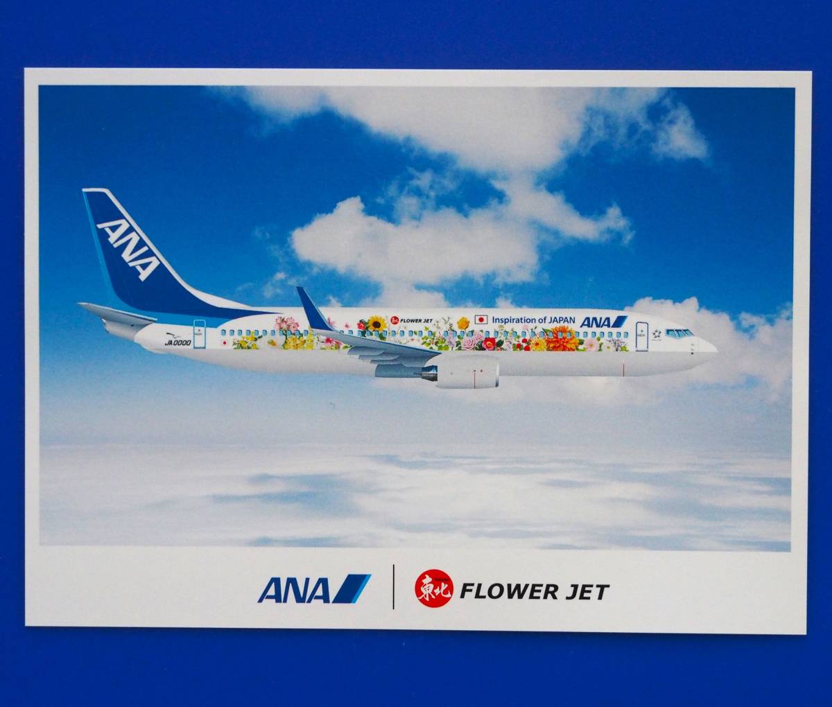 ANA FLOWER JET 全日本空輸 フラワージェット ポストカード 絵葉書 ボーイング B737 非売品　※即決価格設定あり_(表)