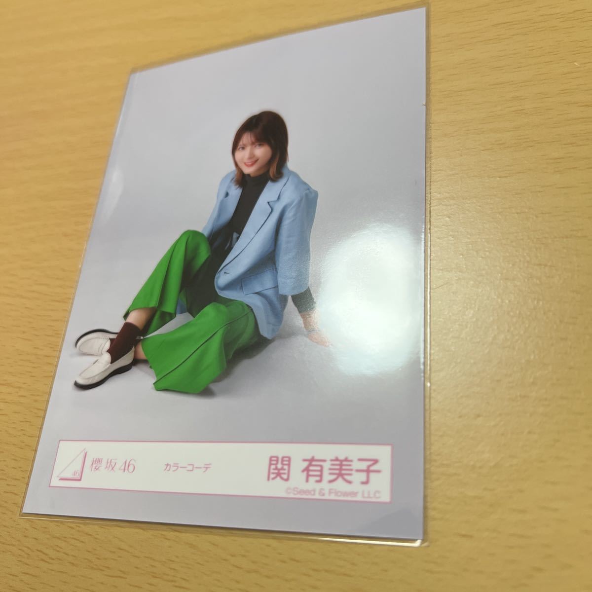 櫻坂46 関有美子【 3rd TOUR 2023 】ランダム生写真( カラーコーデ