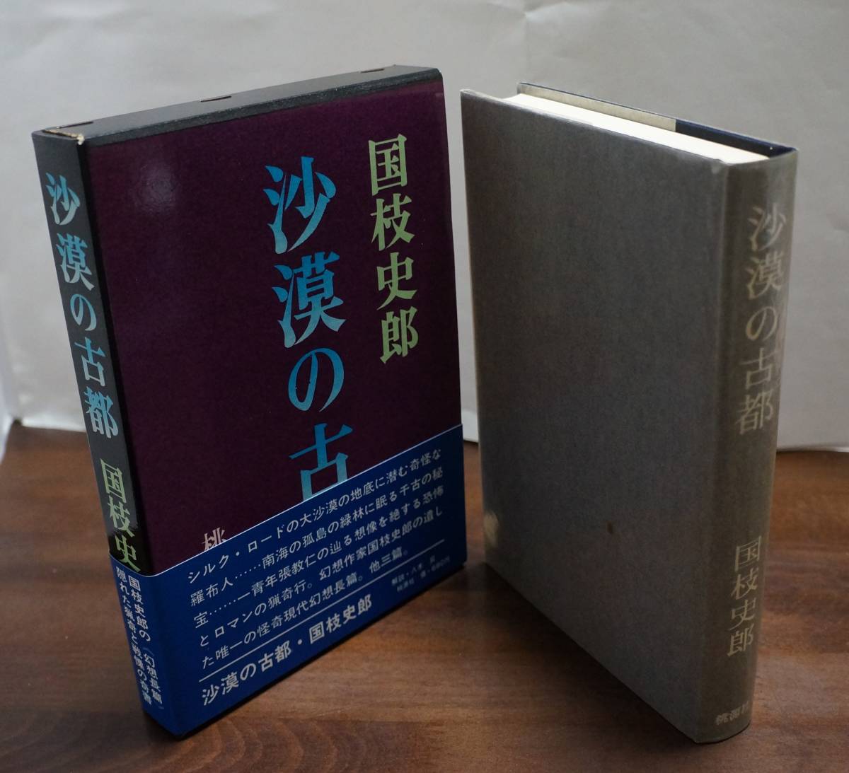 ［大ロマンの復活] 国枝史郎著『沙漠の古都』　桃源社_画像5