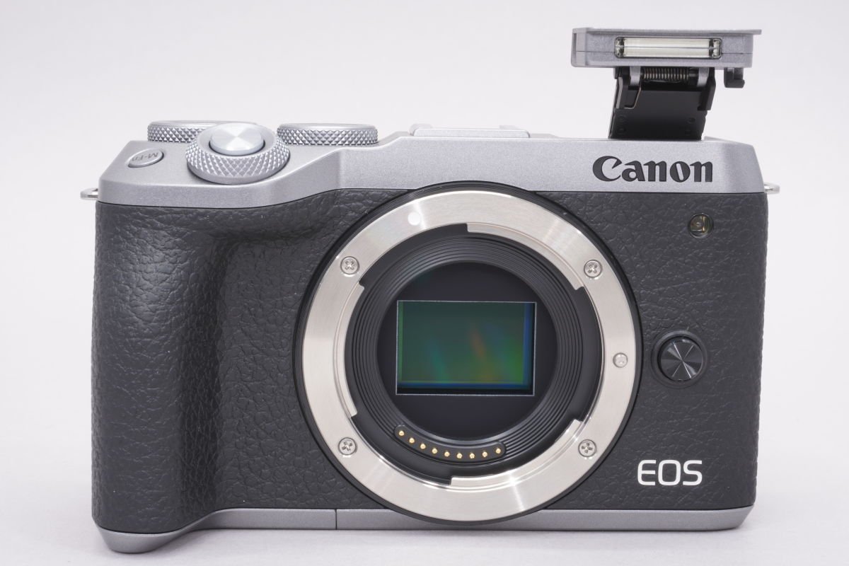 ミラーレスカメラ EOS M6 Mark II ダブルズームキット シルバー