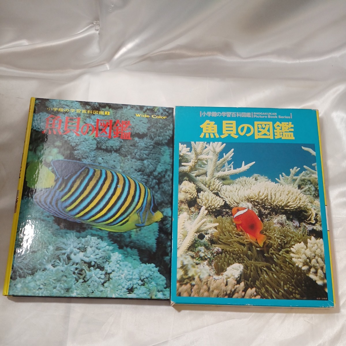 zaa-ma01♪小学館の学習百科図鑑 魚貝の図鑑 - Wide　color 末広恭雄 小学館（1996/07発売）