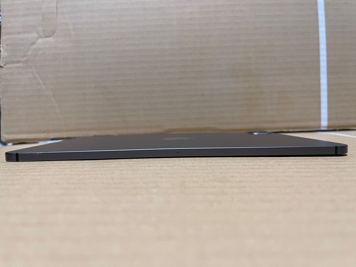 iPad Pro 11インチ 第2世代 256GB スペースグレイ SIMフリー iPad Pro 11インチ 第2世代 256GB スペースグレイ SIMフリー