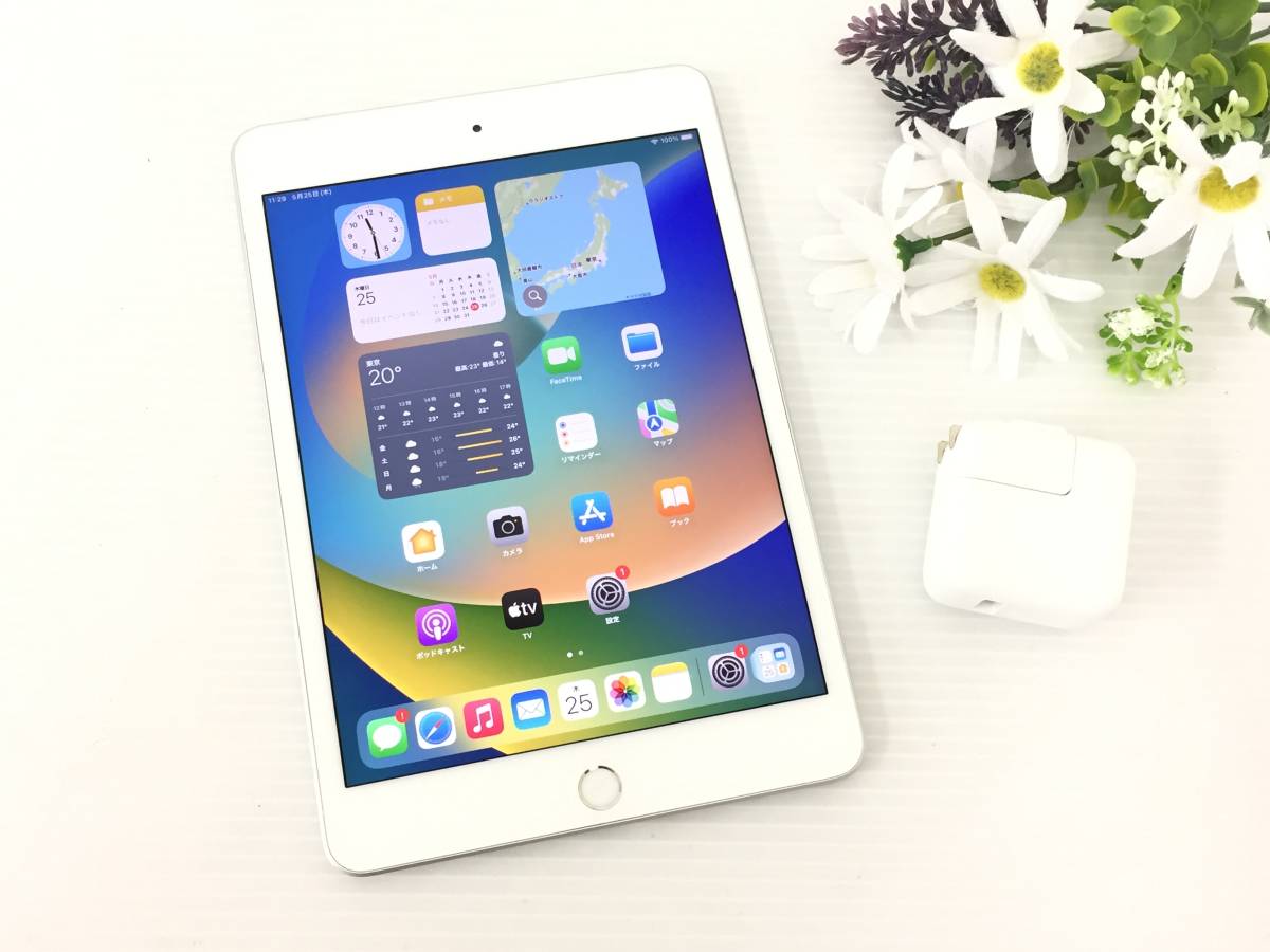 〇【良品】au iPad mini 第5世代 Wi-Fi+Cellularモデル 64GB A2124(MUX62J/A) シルバー 〇判定 動作品 