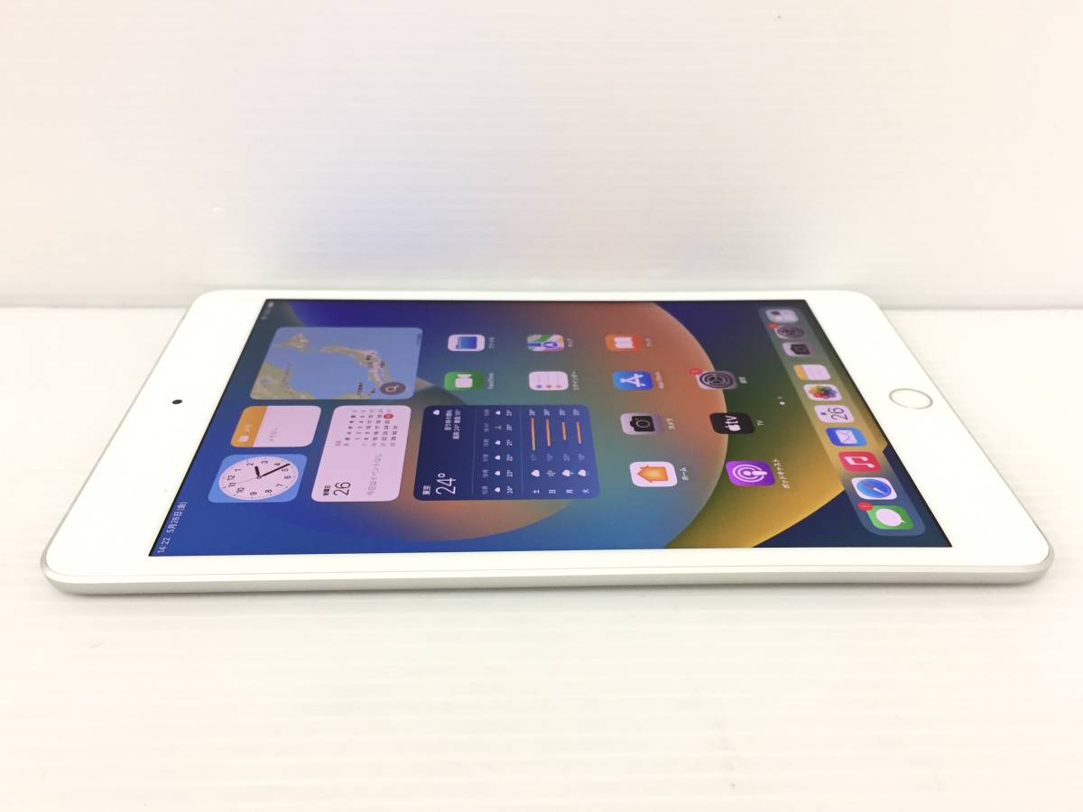 〇【SIMフリー】iPad mini 第5世代 Wi-Fi+Cellularモデル 256GB A2124