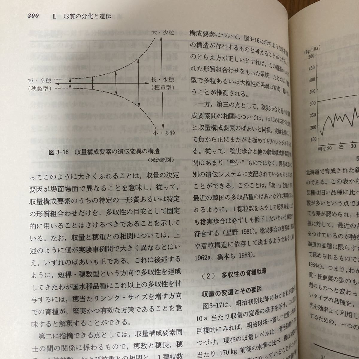 稲学大成 全3巻 農文協 農山漁村文化協会 イネ 稲作 米作り コメ 稲学大成 全3巻 農文協 農山漁村文化協会 イネ 稲作 米作り コメ